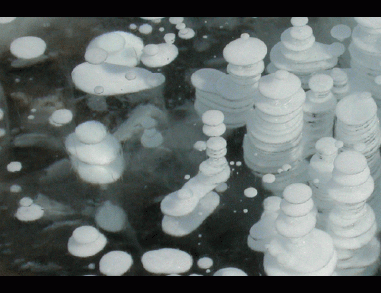 Methane bubbles trapped in the ice of an Alaska lake. Photo by Ned Rozell.