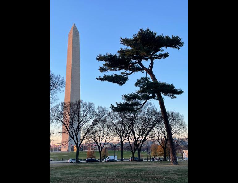 Evening sunshine strikes the Washington Monument in Washington, D.C., site of the 2024 Fall Meeting of the American Geophysical Union. Photo by Ned Rozell.