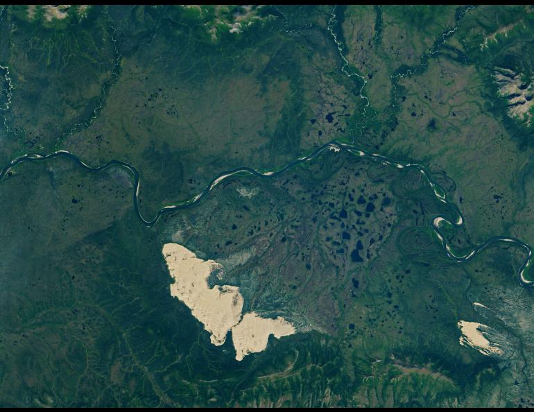 The Kobuk Sand Dunes, left, Little Kobuk Sand Dunes and the Kobuk River in northwestern Alaska as seen from space on Aug. 16, 2020. NASA Earth Observatory image by Lauren Dauphin, using Landsat data from the U.S. Geological Survey.