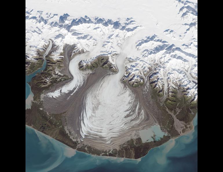 Malaspina Glacier in September 2014. NASA Earth Observatory satellite image by Jesse Allen, using Landsat data from the U.S. Geological Survey. Courtesy NASA Goddard Space Flight Center.