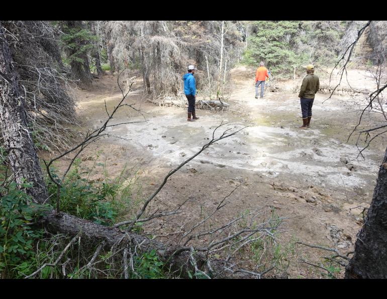 Scientists walk in a crater left behind by an iceberg stranded more than 300 years ago in a flood event caused by Black Rapids Glacier. Photo by Ned Rozell.