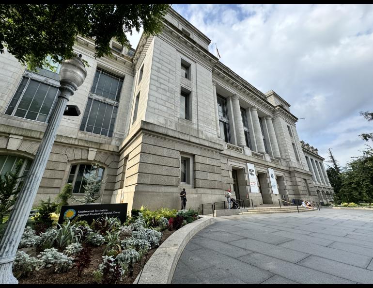 Visitors enter the Smithsonian Institution’s National Museum of Natural History in Washington, D.C., in July 2024. Photo by Jeff Rasic.