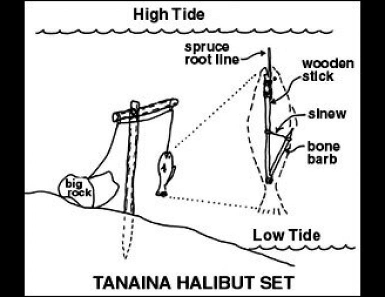 Illustration of the Tanaina Halibut Set.