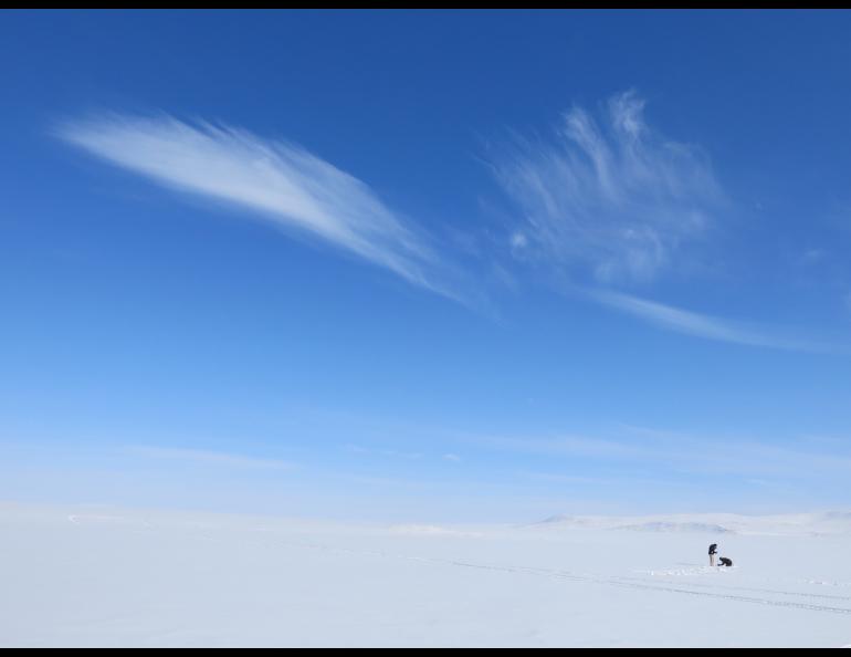 Blue sky with few clouds, marking the beginning of summer.