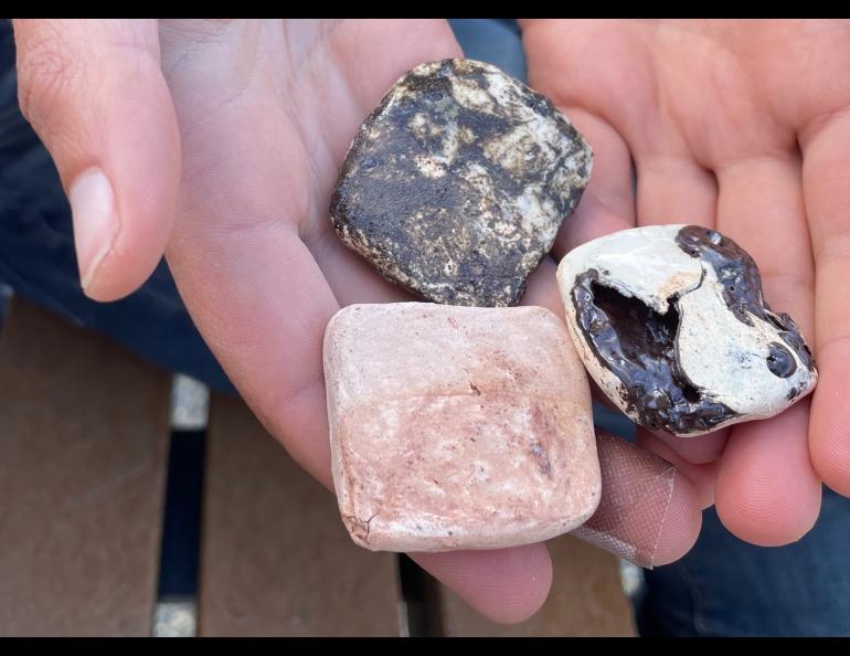 Kelsey Aho holds ceramic tiles she has fired from clays and ash found around Alaska. Ned Rozell photo.