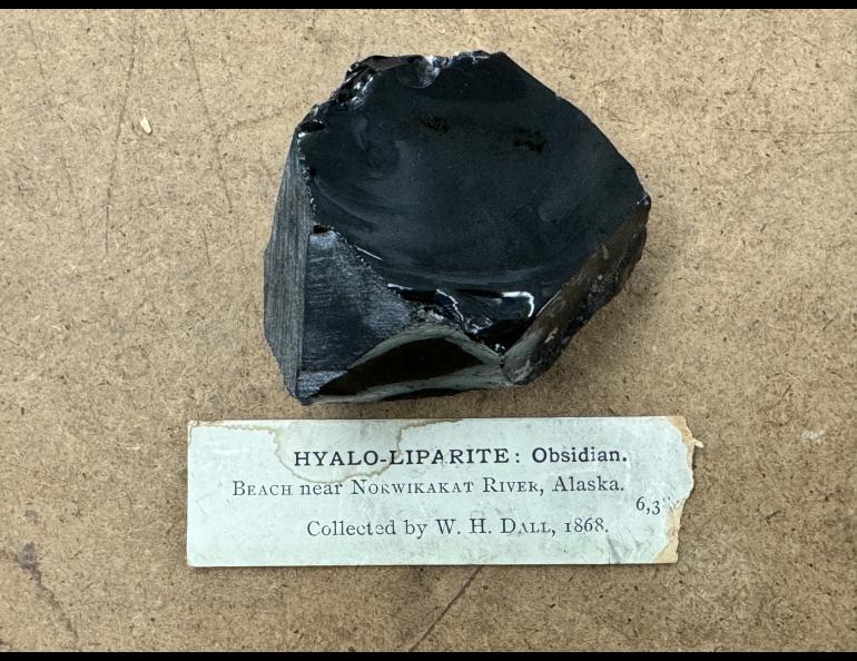 A piece of obsidian rock sits in the Smithsonian Institution in Washington, D.C. William Healey Dall collected the rock in 1868 near the Nowitna River in Interior Alaska. Exhibit No: NMNH 6384. Photo by Jeff Rasic.