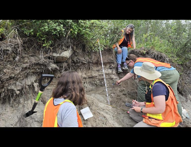 Jessica Larsen, sitting, overlooks a group of students collecting White River ash from a roadside outcrop east of Koidern in the Yukon on July 21, 2024. The ash is from an eruption of Alaska’s Mount Churchill about 1,200 years ago. Photo by Florian Hofmann.