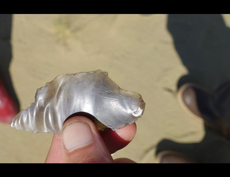 Ned Rozell found this obsidian flake at an archaeological site in the Nogahabara Dunes 35 miles west of Huslia. Photo by Ned Rozell.