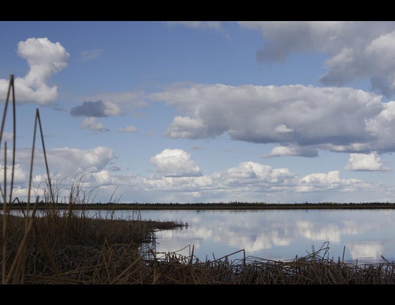 The lowlands of Yukon Flats National Wildlife Refuge. Photo courtesy Bryce Lake, USFWS.