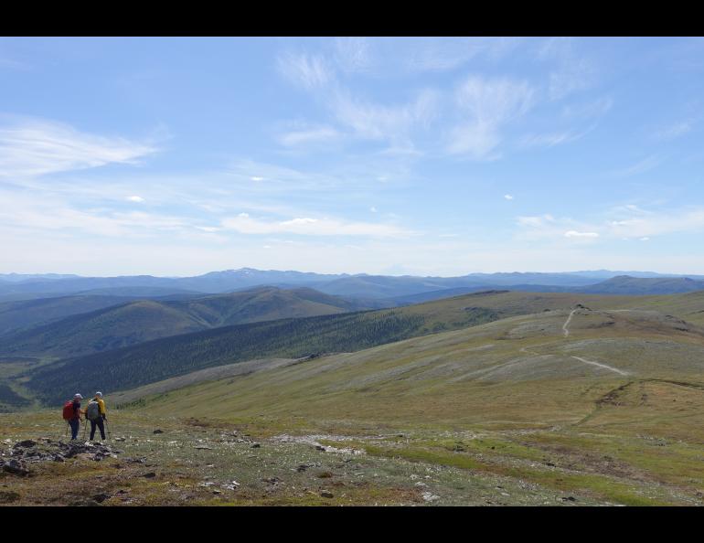 Bruno Grunau and Forest Wagner hike a trail through the alpine in Interior Alaska during the AlaskAcross 2024 50-mile race. Photo by Ned Rozell.