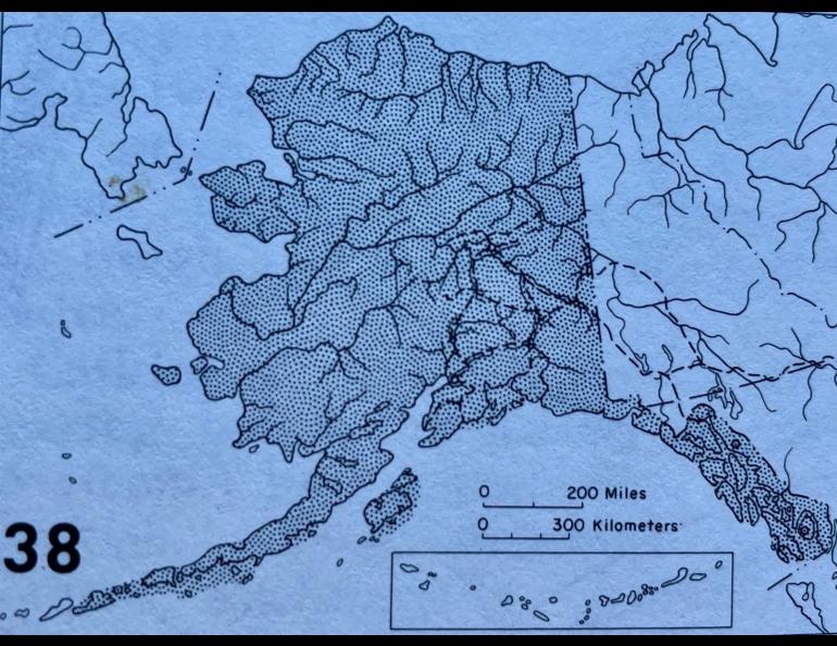 The range of the feltleaf willow, probably the most numerous tree in Alaska. From Alaska Trees and Shrubs by Les Viereck and Elbert L. Little, Jr.