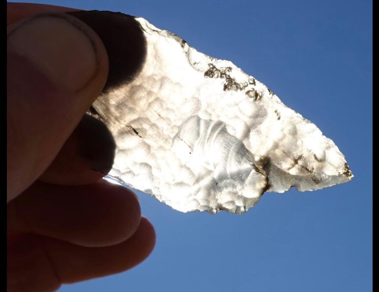 Sun shines through a flake of obsidian rock found at an archaeological site in the Nogahabara Dunes 35 miles west of Huslia. Photo by Ned Rozell.