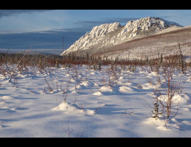 A rock formation rises within the White Mountains National Recreation Area north of Fairbanks. The recreation area was established in 1980 as part of the Alaska National Interest Lands Conservation Act. Photo by Ned Rozell.