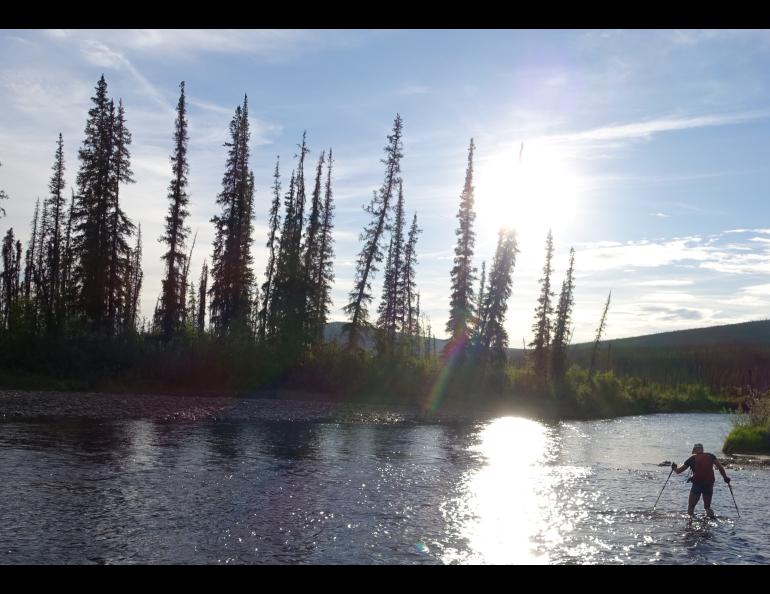 Bruno Grunau crosses the Ikheenjik River (formerly known as Birch Creek), the major water obstacle during the AlaskAcross 2024 race from Eagle Summit to Chena Hot Springs Resort. Photo by Ned Rozell.