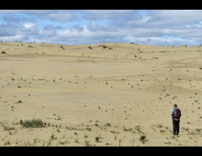 Ida Bodony ponders an archaeological site in the Nogahabara Dunes, 35 miles west of Huslia, shortly before walking back to camp. Photo by Ned Rozell.