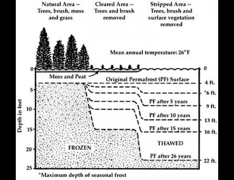 Permafrost recedes more deeply into the ground under different surface conditions over a 26-year period. It remains constant if the overlying forestation is unchanged, but thaws rapidly as more vegetation is removed. 