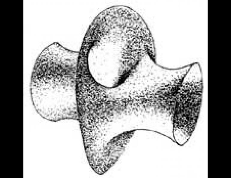    New unbounded minimal surface (the edges actually extend to infinity) discovered by Hoffman and Meeks. 