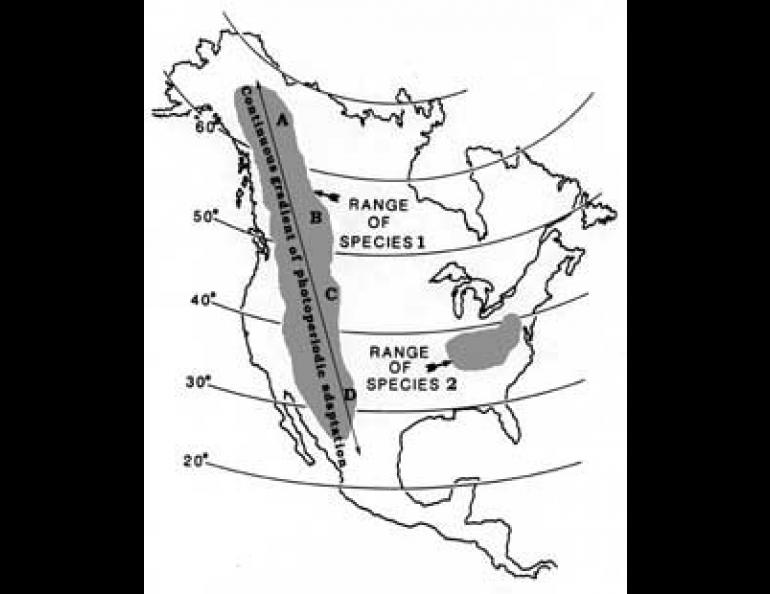 Two hypothetical plant species have different latitudinal ranges in North America. Species 1 may have varieties which range extensively from north to south, although ecotypes A and D might not be able to survive if their positions were swapped. Species 2, however, consists of less adaptable ecotypes, and would only be able to survive within the limited range shown. (Figure courtesy of AFES, UAF) 