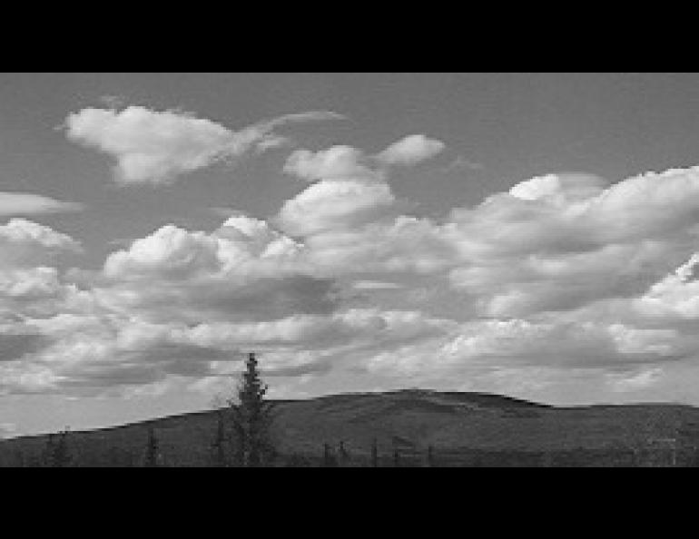 Cumulus clouds building over high ground near Fairbanks. Photo credit Glenn Shaw 