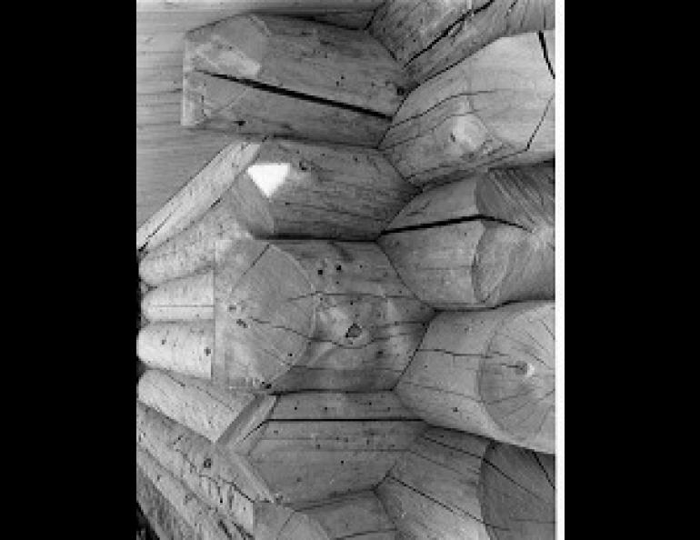 Radial cracks in logs, clearly displayed in this corner of a log building, are an inevitable result of drying. They represent the only way a large whole log can manage to shrink more in circumference than radially. 