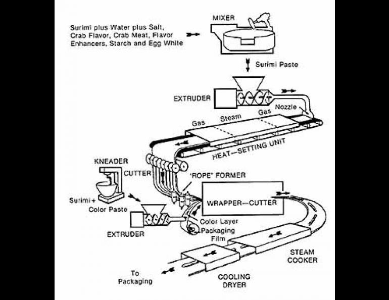  The final stages of processing walleye pollock into artificial crab. 
