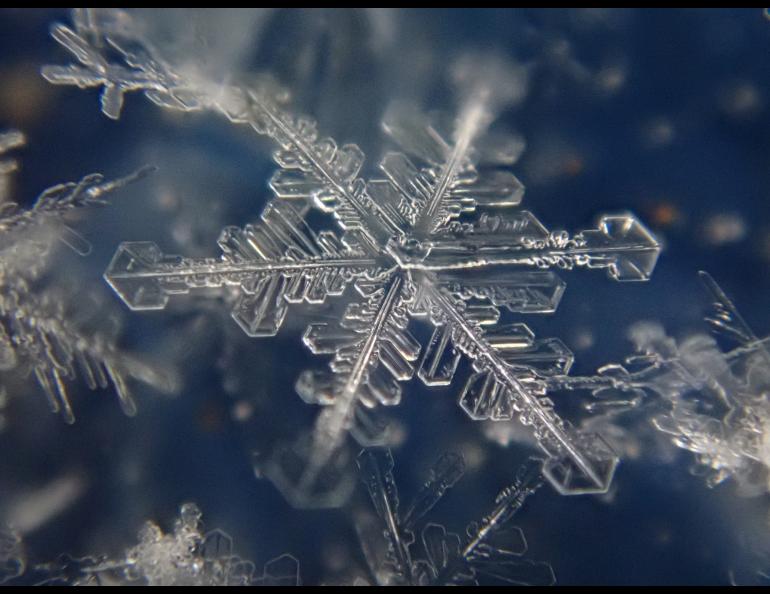 A. Matthew Sturm captured these images of snow crystals falling in a Dec. 26, 2021, storm in Fairbanks. Their shapes correspond to different temperatures and humidity within the cloud that formed them. Matthew Sturm photos.