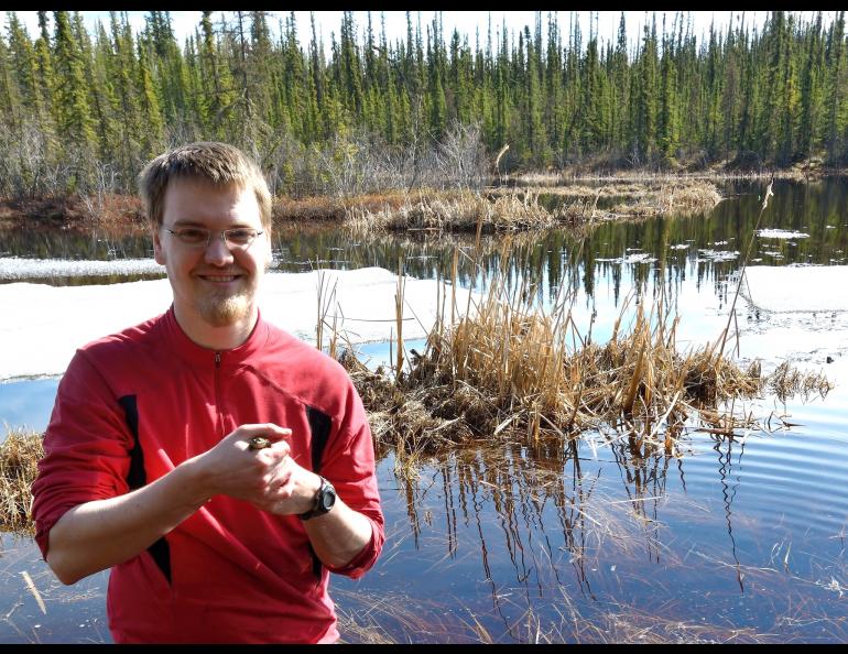 UAF doctoral student Don Larson with a wood frog he captured in Ballaine Lake on the university campus in Fairbanks. Oivind Toien photo.