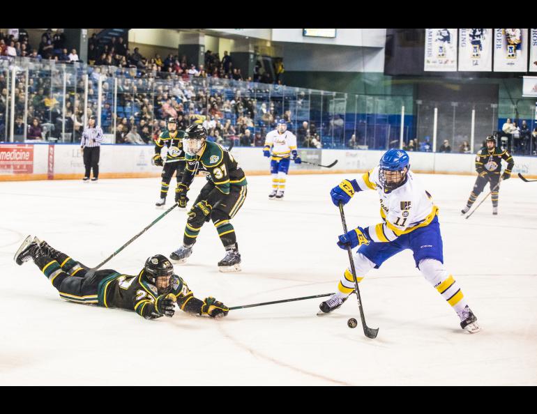 University of Alaska Fairbanks hockey team forward Steven Jandric in action against the UAA Seawolves. Photo by JR Ancheta, UAF Photography.