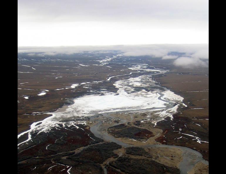 A large field of aufeis on the Kuparuk River. Scientists think these ephemeral icefields might be places that enhance far-northern life in the winter and the summer. Photo by Jay Zarnetske.