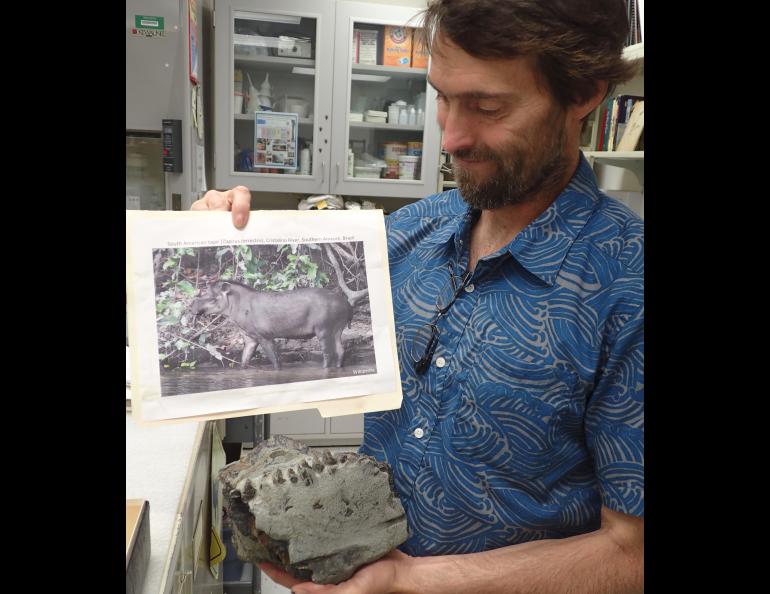 Patrick Druckenmiller of the UA Museum of the North holds the fossilized jaw of a tapir discovered near Homer by a 5-year-old last year. Photo by Ned Rozell.