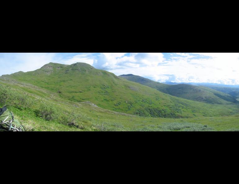 A view from the remote Kankone Peak vegetation study area in Denali National Park. Photo by Carl Roland.