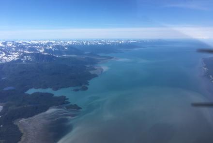 Multiple glacial streams carry turbid glacial runoff into Kachemak Bay in this aerial view looking southwest from the head of the bay toward Homer on June 30, 2021. Photo by Martin Stuefer