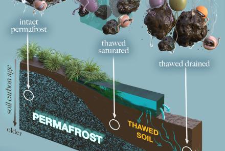 Victor Leshyk of Northern Arizona University created this artwork of microbes — in this case bacteria — and their activity in different states of frozen and unfrozen ground. Courtesy of Northern Arizona University.