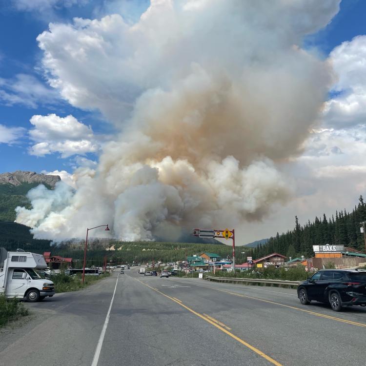 The Riley Creek Fire burned more than 400 acres within Denali National Park and Preserve in July 2024. Photo by Paul Ollig, National Park Service. 