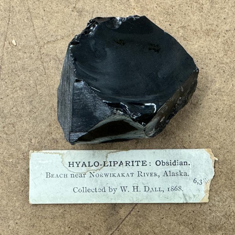 A piece of obsidian rock sits in the Smithsonian Institution in Washington, D.C. William Healey Dall collected the rock in 1868 near the Nowitna River in Interior Alaska. Exhibit No: NMNH 6384. Photo by Jeff Rasic.