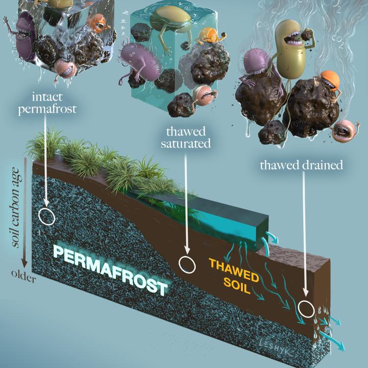 Victor Leshyk of Northern Arizona University created this artwork of microbes — in this case bacteria — and their activity in different states of frozen and unfrozen ground. Courtesy of Northern Arizona University.